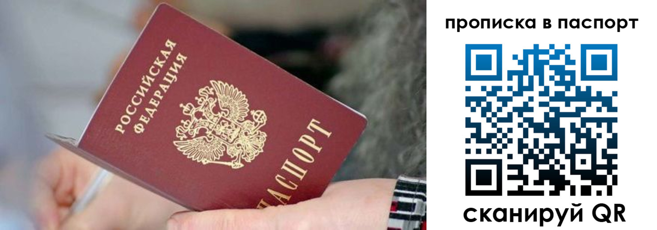 временная регистрация поиск в Волгоградской области